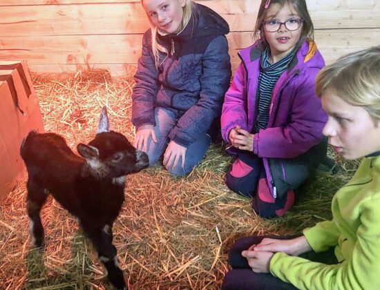 Unsere Ferienkinder mit Maxl